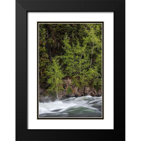 Wyoming Budding trees-La Grange Cascade-Yellowstone National Park Black Modern Wood Framed Art Print with Double Matting by Zimmerman, Judith