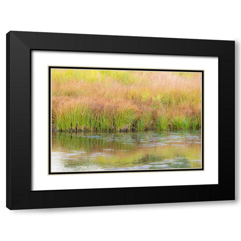 Wyoming-Grand Tetons National Park waters edge Snake River and golden grasses reflected in water Black Modern Wood Framed Art Print with Double Matting by Gulin, Sylvia