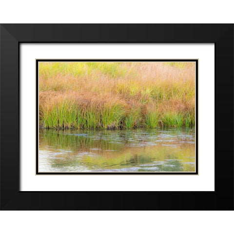 Wyoming-Grand Tetons National Park waters edge Snake River and golden grasses reflected in water Black Modern Wood Framed Art Print with Double Matting by Gulin, Sylvia