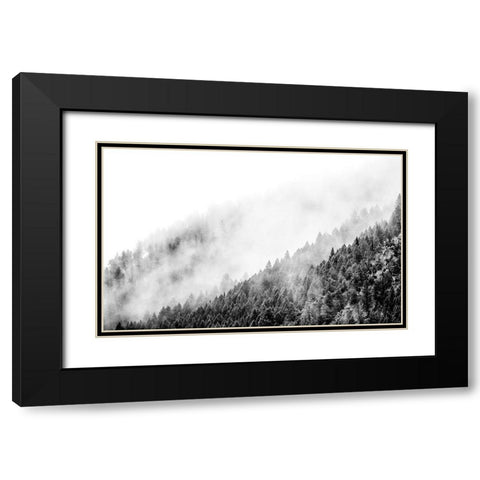 Wyoming-Hoback-clouds intermingling with evergreens on rainy morning in black and white Black Modern Wood Framed Art Print with Double Matting by Gulin, Sylvia