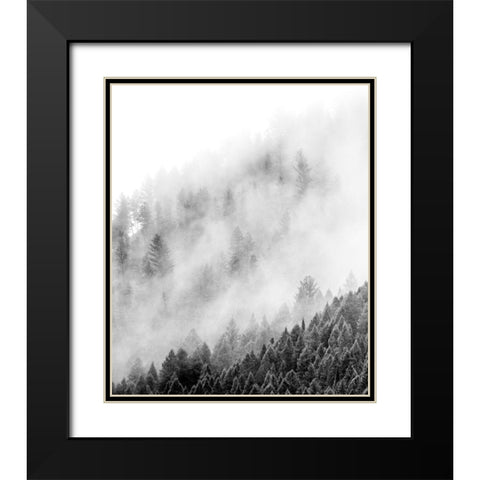 Wyoming-Hoback-clouds intermingling with evergreens on rainy morning in black and white Black Modern Wood Framed Art Print with Double Matting by Gulin, Sylvia