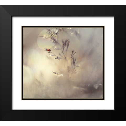 Little Lady Black Modern Wood Framed Art Print with Double Matting by Westum, Heidi