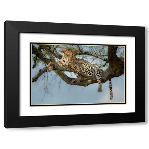 How Tasty You Are! Black Modern Wood Framed Art Print with Double Matting by Nadoum, Khaleel