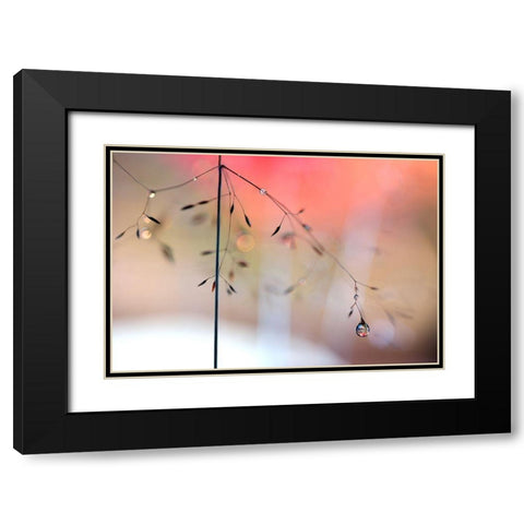 Morning Glow Black Modern Wood Framed Art Print with Double Matting by Westum, Heidi