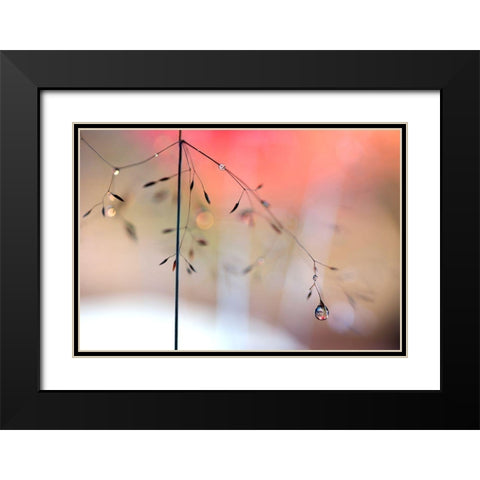 Morning Glow Black Modern Wood Framed Art Print with Double Matting by Westum, Heidi