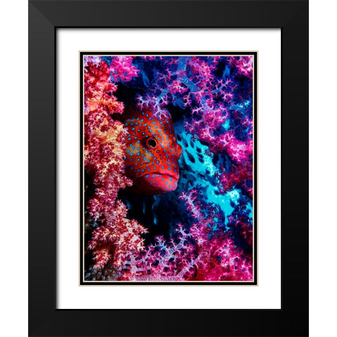 Coral Hind Black Modern Wood Framed Art Print with Double Matting by Barchana, Dani