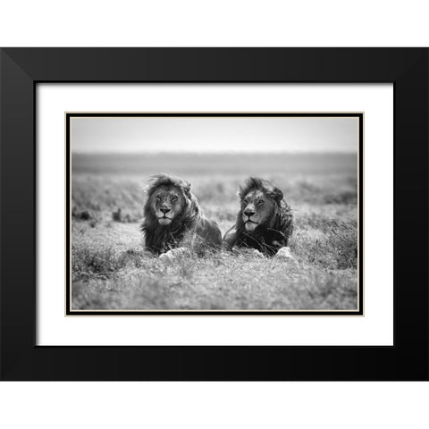 Two kings Black Modern Wood Framed Art Print with Double Matting by Merino, Nicolas