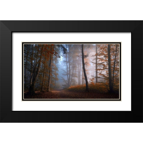 Autumn Colors Black Modern Wood Framed Art Print with Double Matting by Maier, Norbert