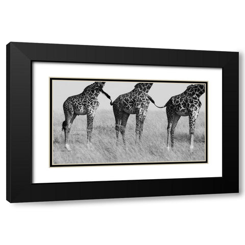 Wild Connection Black Modern Wood Framed Art Print with Double Matting by Alnaser, Mohammed