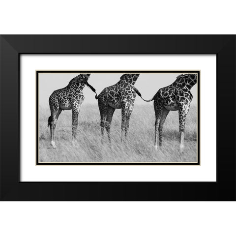 Wild Connection Black Modern Wood Framed Art Print with Double Matting by Alnaser, Mohammed
