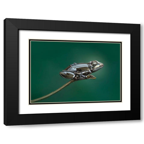 Frog Black Modern Wood Framed Art Print with Double Matting by Almawash, Sulaiman