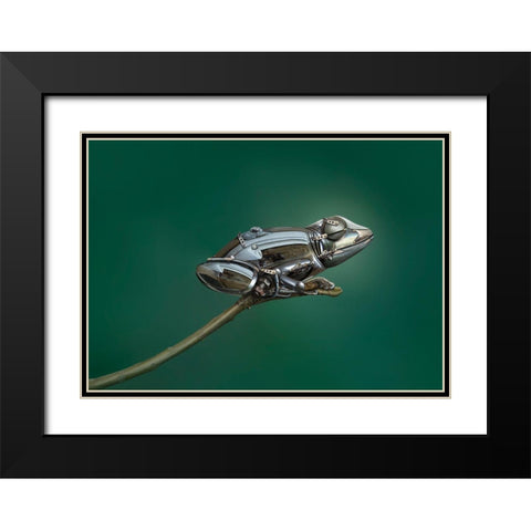 Frog Black Modern Wood Framed Art Print with Double Matting by Almawash, Sulaiman