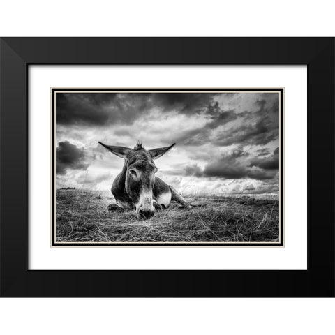 Taking A Break Black Modern Wood Framed Art Print with Double Matting by Mortier, Kurt