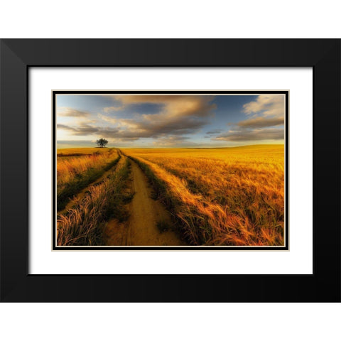 Yellow Black Modern Wood Framed Art Print with Double Matting by Krol, Piotr