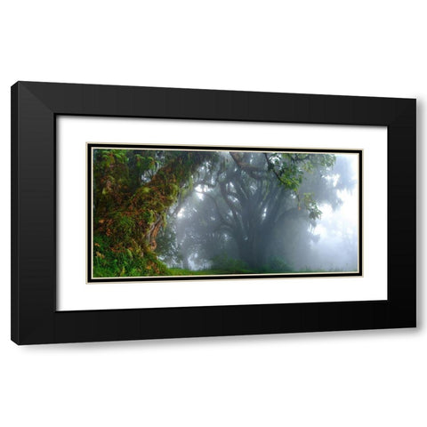 Inside The Clouds Black Modern Wood Framed Art Print with Double Matting by Schemel, Bertram