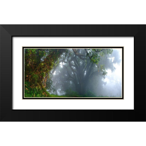 Inside The Clouds Black Modern Wood Framed Art Print with Double Matting by Schemel, Bertram