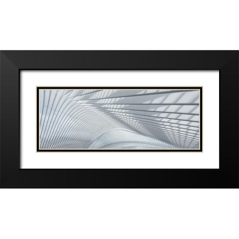 Guillemins Black Modern Wood Framed Art Print with Double Matting by Bruederl, Joachim