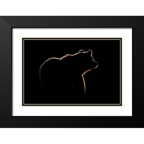 Highlight Black Modern Wood Framed Art Print with Double Matting by Golob, Gorazd