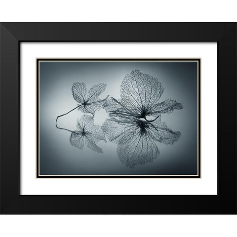 Ephemeral Beauty Black Modern Wood Framed Art Print with Double Matting by Kowatari, Shihya
