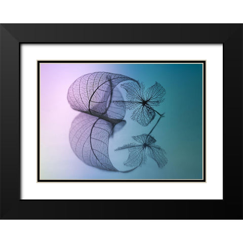 Story Of Leaf And Flower Black Modern Wood Framed Art Print with Double Matting by Kowatari, Shihya