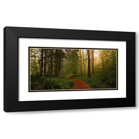 The Red Path. Black Modern Wood Framed Art Print with Double Matting by Londal, Leif
