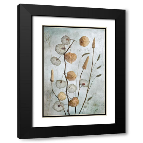 Lanterns Black Modern Wood Framed Art Print with Double Matting by Disher, Mandy