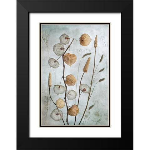 Lanterns Black Modern Wood Framed Art Print with Double Matting by Disher, Mandy