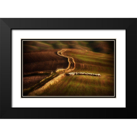 Crossing The Fields Black Modern Wood Framed Art Print with Double Matting by Svoboda Mqep, Peter