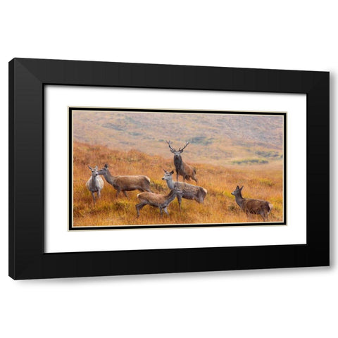 The Guardian Of The Moorland Black Modern Wood Framed Art Print with Double Matting by Ruoppolo, Luigi