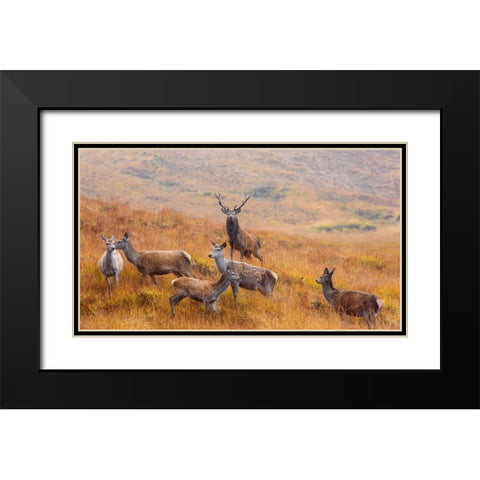 The Guardian Of The Moorland Black Modern Wood Framed Art Print with Double Matting by Ruoppolo, Luigi