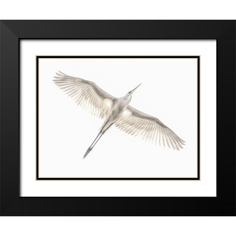 Fly Black Modern Wood Framed Art Print with Double Matting by Or, Keren