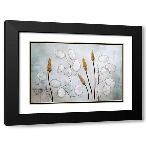 Lunaria Black Modern Wood Framed Art Print with Double Matting by Disher, Mandy
