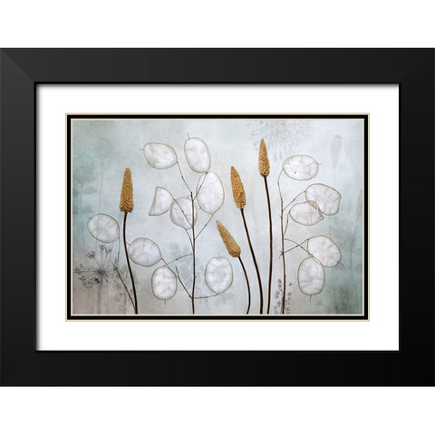 Lunaria Black Modern Wood Framed Art Print with Double Matting by Disher, Mandy