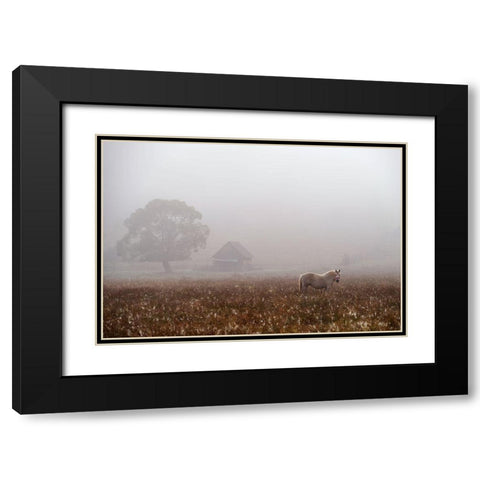 Morning Fog Black Modern Wood Framed Art Print with Double Matting by Tanase, Sorin