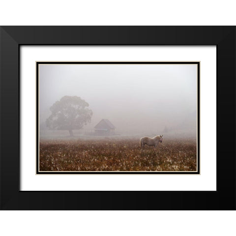 Morning Fog Black Modern Wood Framed Art Print with Double Matting by Tanase, Sorin