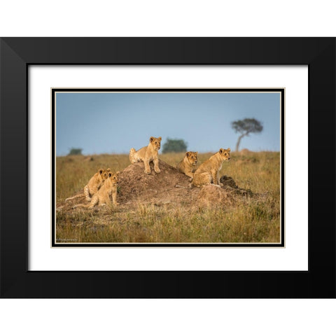 Moms Coming Back - Dinner Is Almost Here. Black Modern Wood Framed Art Print with Double Matting by C. Sink, Jeffrey