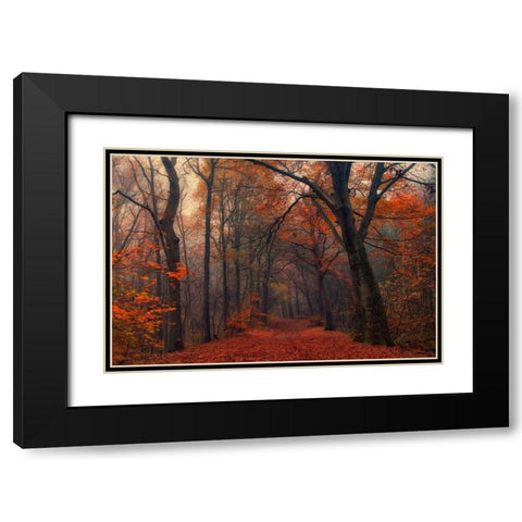 Decorative Forest Black Modern Wood Framed Art Print with Double Matting by Van Dongen, Anton