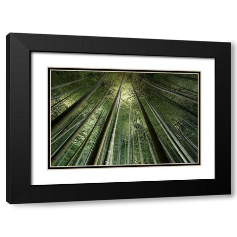 Bamboo Night Black Modern Wood Framed Art Print with Double Matting by Marumoto, Takeshi