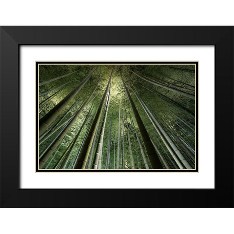 Bamboo Night Black Modern Wood Framed Art Print with Double Matting by Marumoto, Takeshi