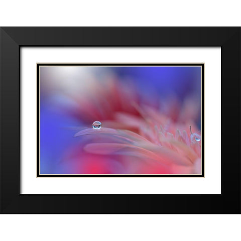 Colorful Explosion... Black Modern Wood Framed Art Print with Double Matting by Nan, Juliana