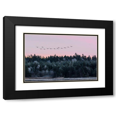 Heading South Black Modern Wood Framed Art Print with Double Matting by Emanuelson, Bjorn