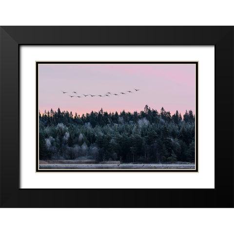 Heading South Black Modern Wood Framed Art Print with Double Matting by Emanuelson, Bjorn