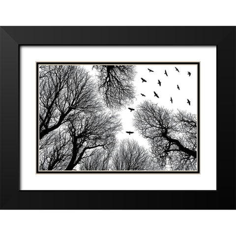 Out To The Open Black Modern Wood Framed Art Print with Double Matting by Damsten, Petri