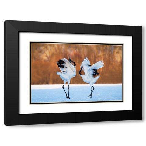 The Dance Of Love Black Modern Wood Framed Art Print with Double Matting by Mei, C.
