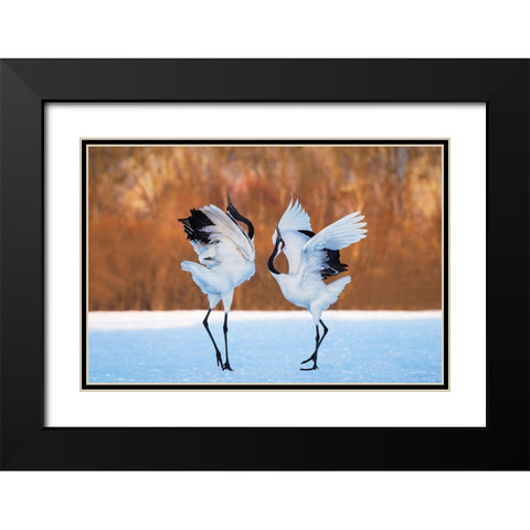 The Dance Of Love Black Modern Wood Framed Art Print with Double Matting by Mei, C.