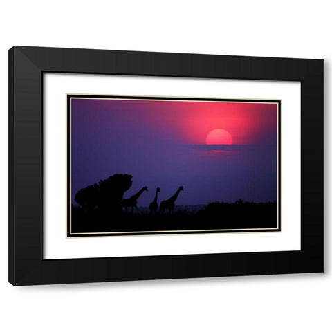 Sunrise In Uganda Black Modern Wood Framed Art Print with Double Matting by Merino, Nicolas