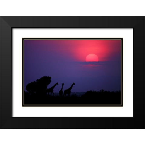 Sunrise In Uganda Black Modern Wood Framed Art Print with Double Matting by Merino, Nicolas