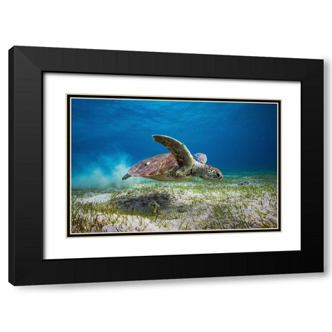 Take Off Black Modern Wood Framed Art Print with Double Matting by Gabriel, Barathieu