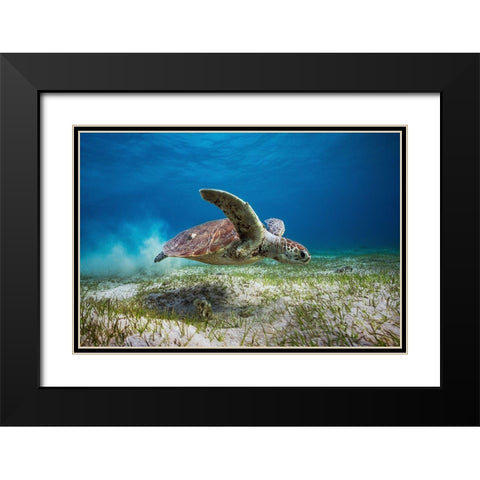 Take Off Black Modern Wood Framed Art Print with Double Matting by Gabriel, Barathieu