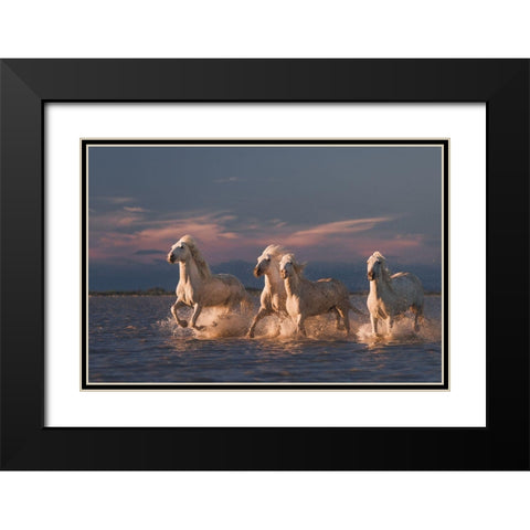 Angels Of Camargue Black Modern Wood Framed Art Print with Double Matting by Anton, Rostovskiy